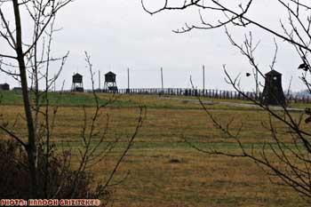 IMG_ (10774)